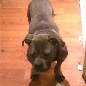 Meet your Posher, Feil